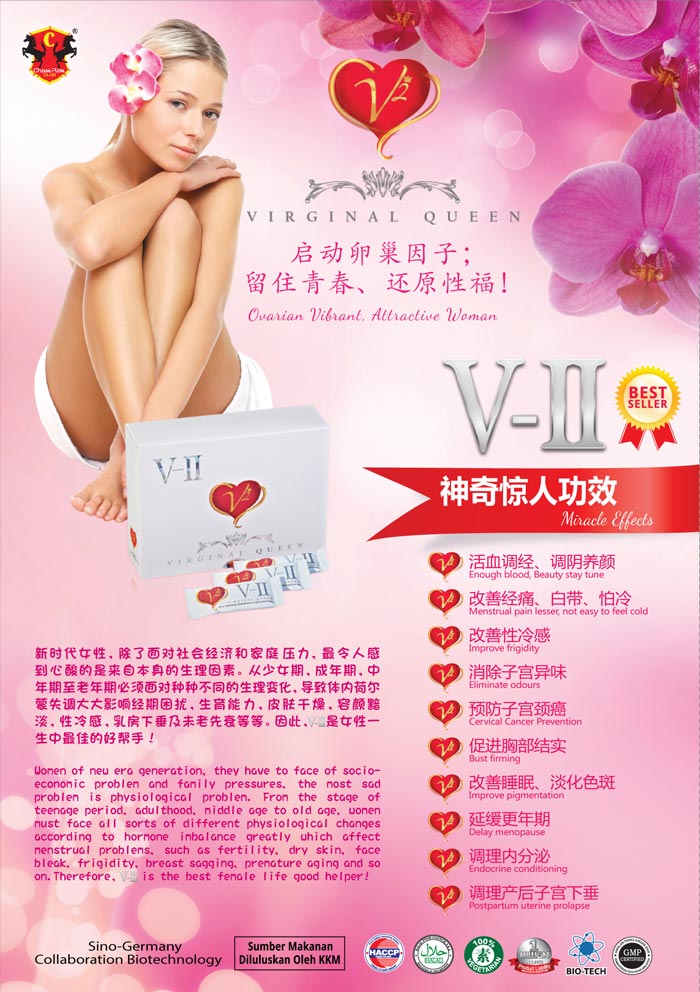 V-II Leaflet Design - Front 产品传单设计