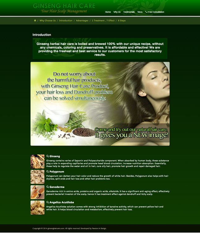 Ginseng Hair Care English Website Screenshot