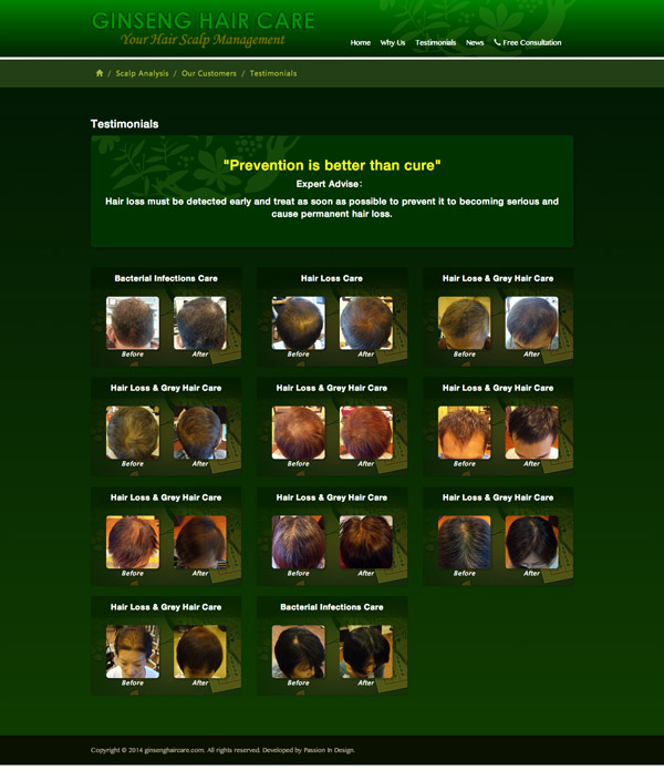 Ginseng Hair Care English Website Screenshot
