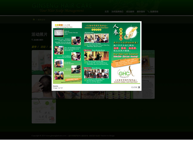 Ginseng Hair Care Chinese Website Screenshot
