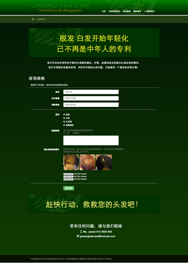 Ginseng Hair Care Chinese Website Screenshot