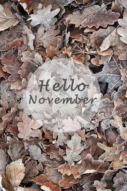 25 Best “Hello November” Image Design