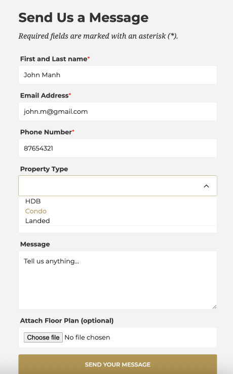 Web Design - Lead capture form Web Design - Lead capture form
