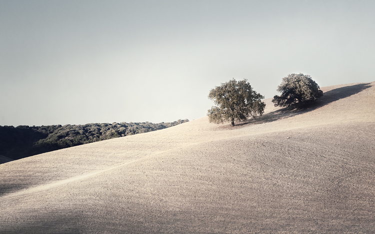 Claire Droppert - silence.