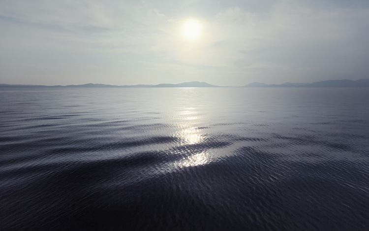 Claire Droppert - silence.